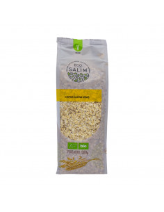 COPOS DE AVENA MINIS ECO 1 KG